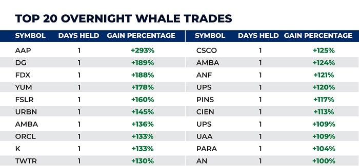 Bryan Bottarelli Overnight Whale Trades