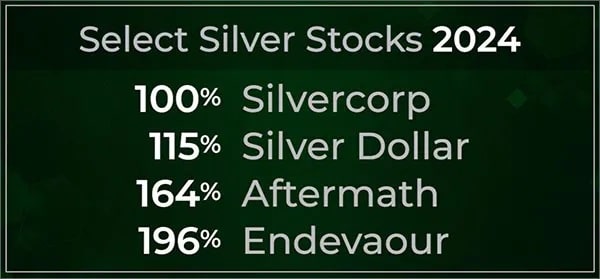 Select silver stocks have shown good growth in 2024