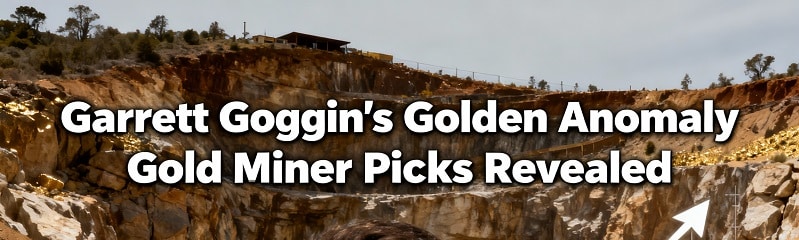 garrett goggin golden anomaly gold miner picks